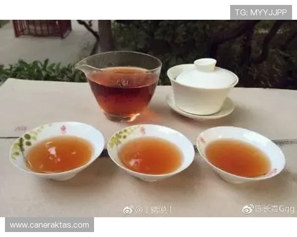 K8游乐城最新优惠活动与会员福利全面解析
